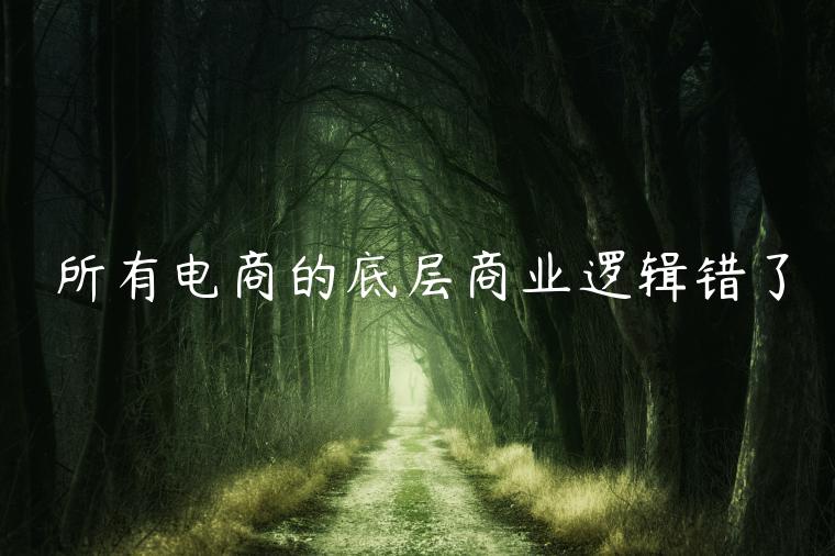 所有電商的底層商業(yè)邏輯錯(cuò)了